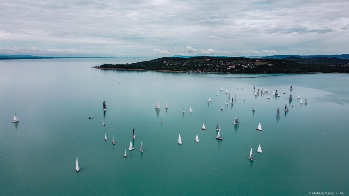 Szüreti Regatta